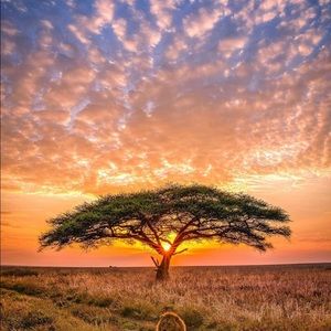 Meet your Posher, Chad